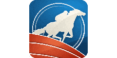 RCB988 Horsebook ဂိမ်းပံ့ပိုးသူအမှတ်တံဆိပ်